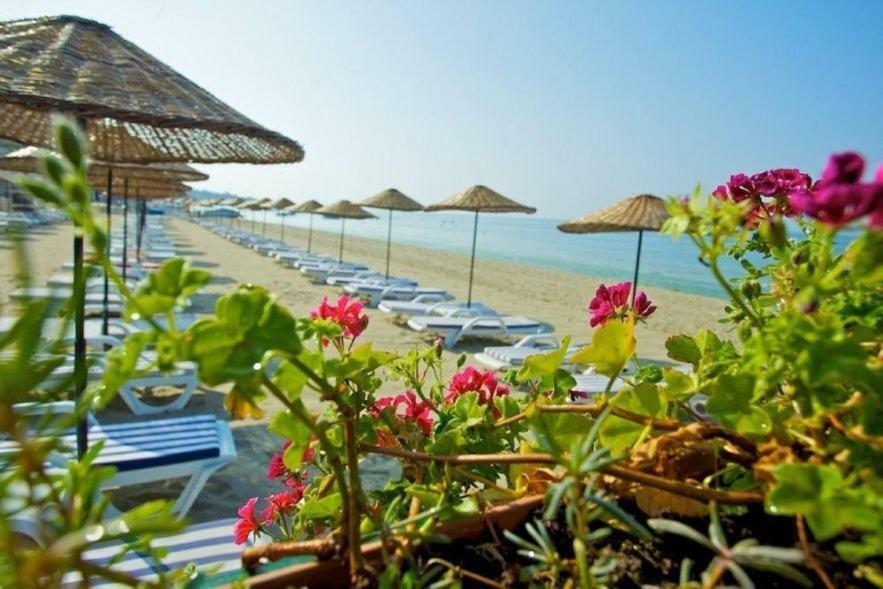 Diamond City Resort Hotel Büyükçekmece Eksteriør billede